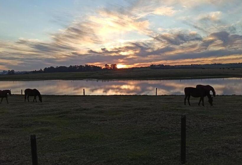 Pension (Hôtel basse catégorie) Estalagem Haras Di Cellius