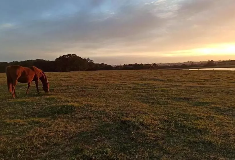 Majatalo Estalagem Haras Di Cellius