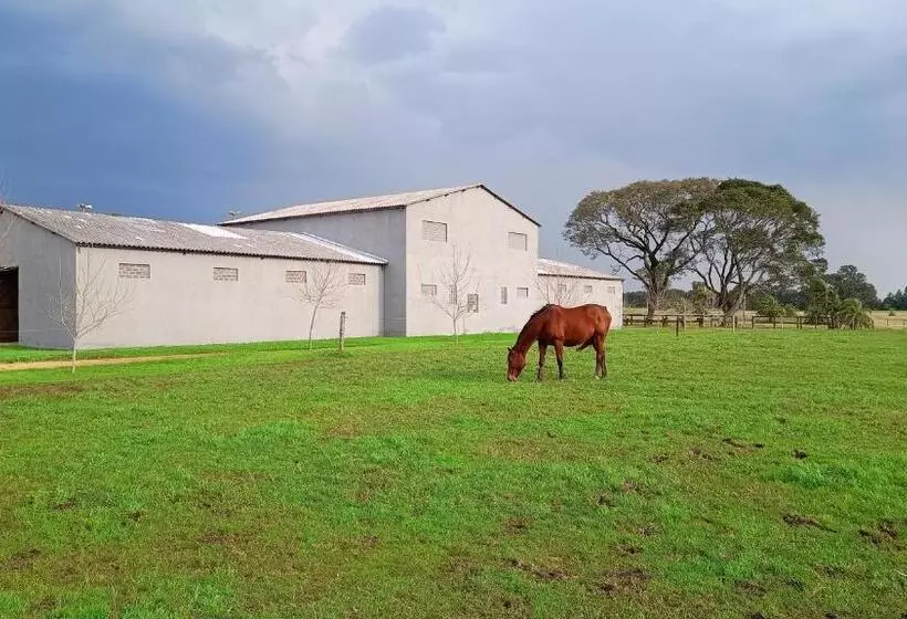 Majatalo Estalagem Haras Di Cellius