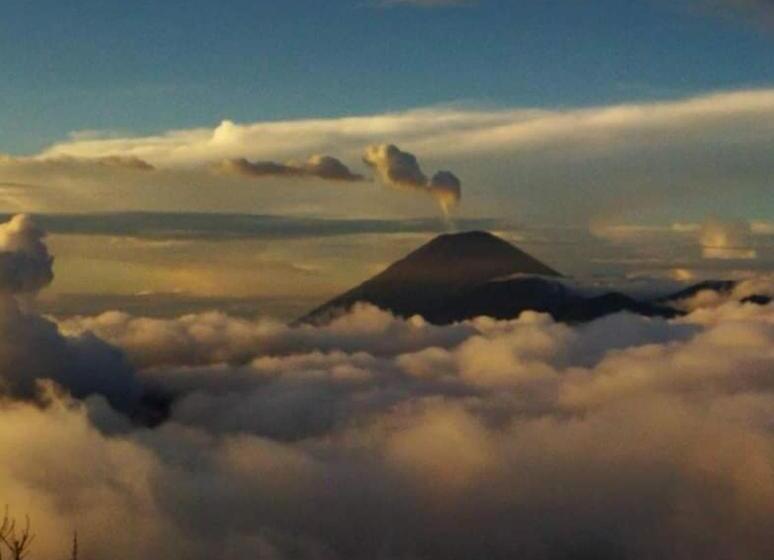 ペンション Uciek Tengger Bromo