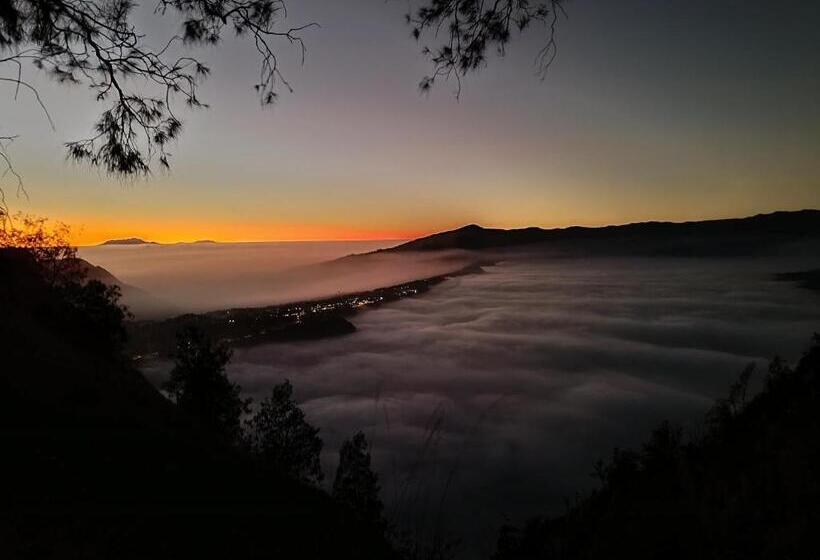 ペンション Uciek Tengger Bromo