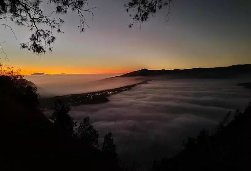 Pensione Uciek Tengger Bromo