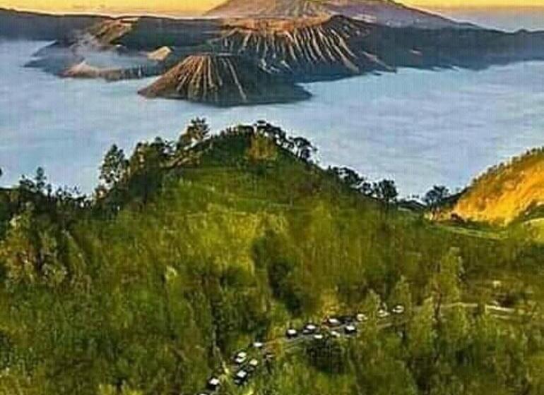 ペンション Uciek Tengger Bromo