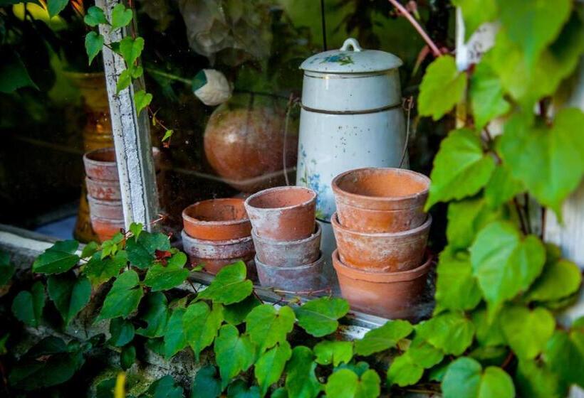 تختخواب و صبحانه Jardin Et Hotel Particulier