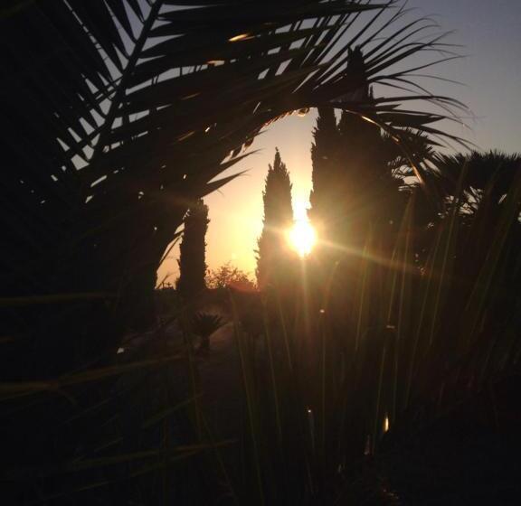 Bed and Breakfast Zyra Garden Club