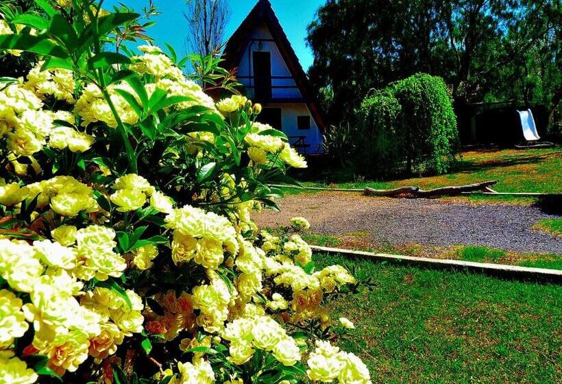 Cabañas Verde Y Blanco