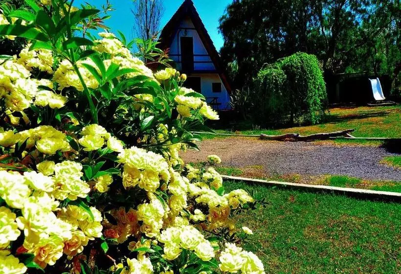 Cabañas Verde Y Blanco