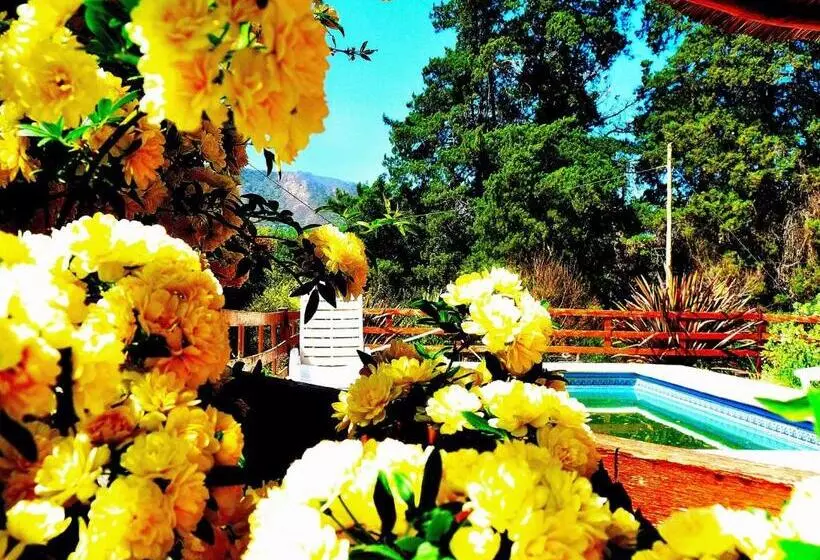 Cabañas Verde Y Blanco
