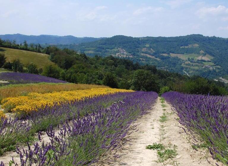 Пансион Casavabene