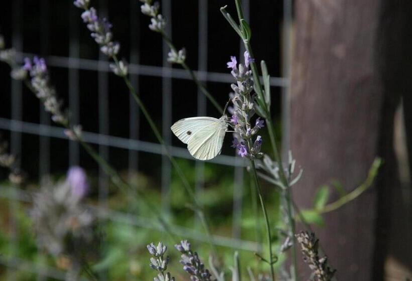 Пансион Casavabene