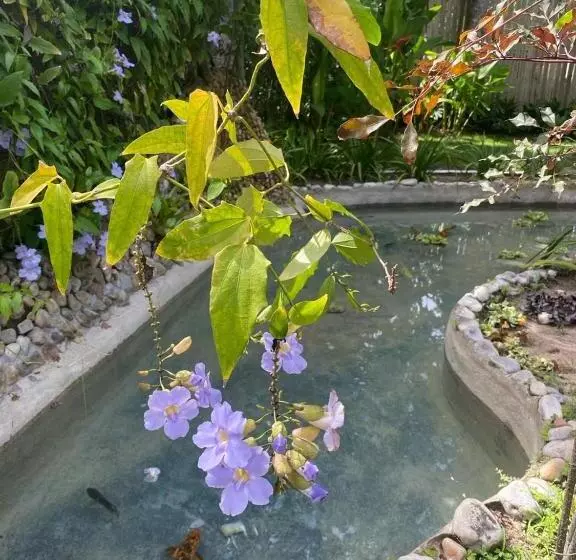 ユースホステル Pousada Jacarandá