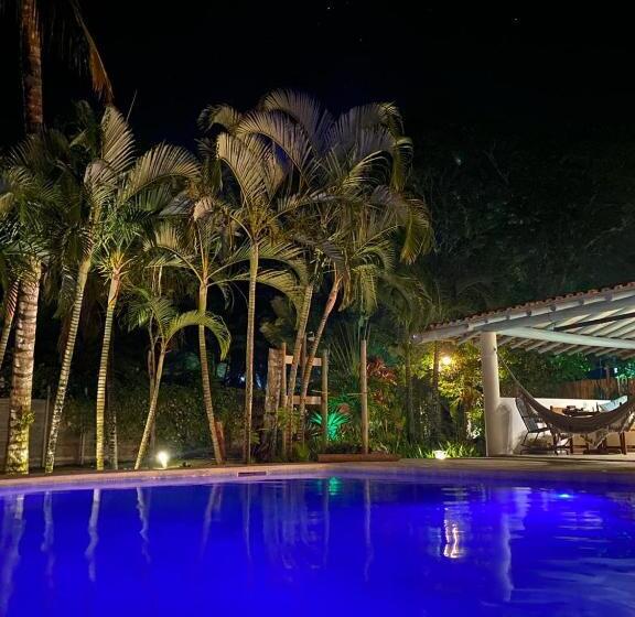 旅馆 Pousada Jacarandá