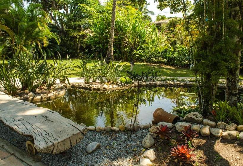 ユースホステル Pousada Jacarandá