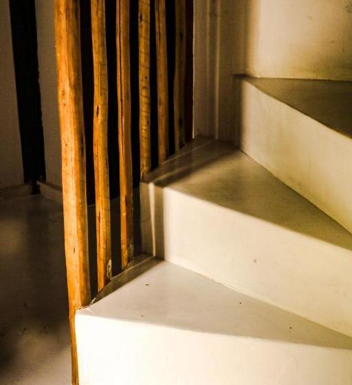 旅馆 Pousada Jacarandá