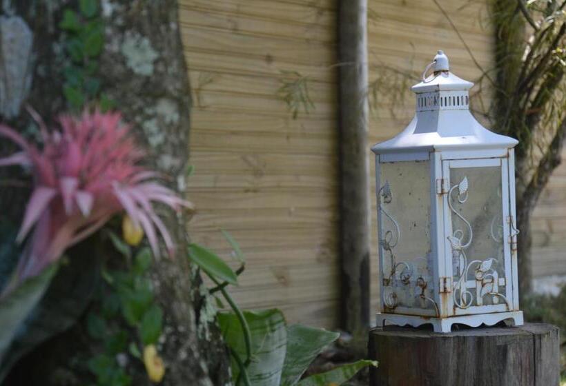 旅馆 Pousada Jacarandá