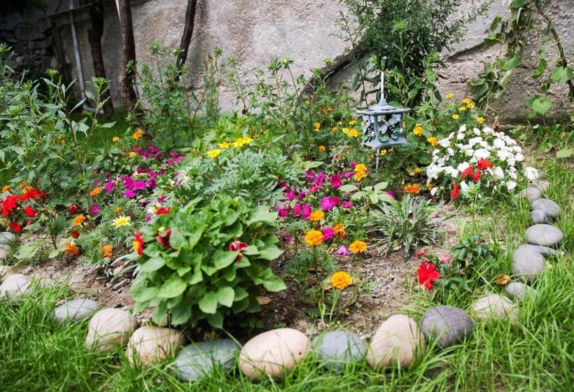 Pensão New Worker   Wo Za Diman