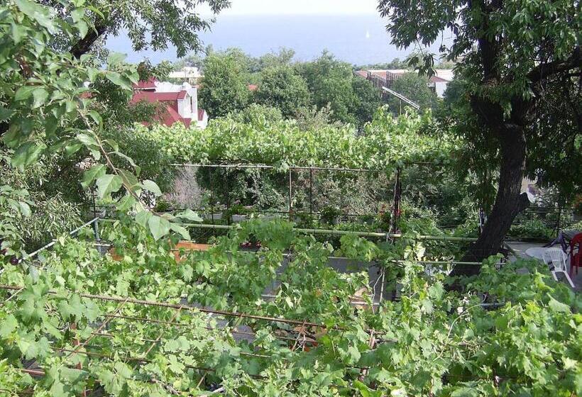 Pensão New Worker   Wo Za Diman