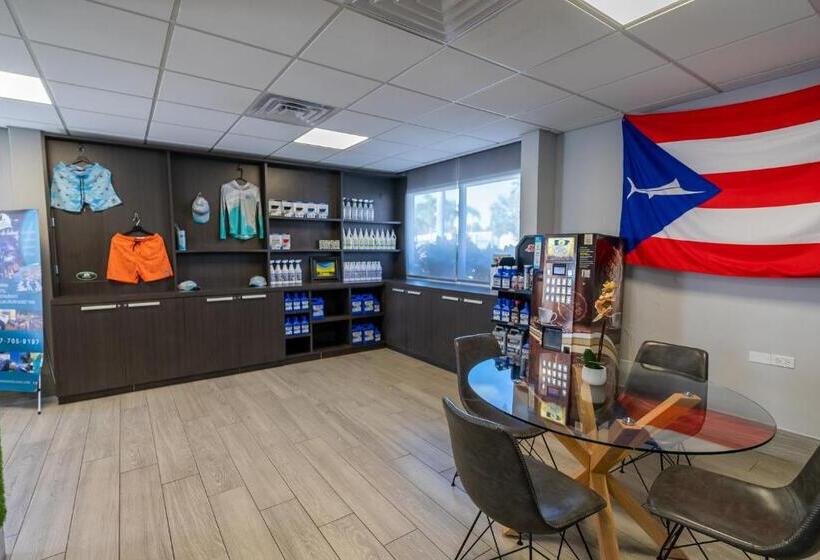 هتل Marina De Salinas