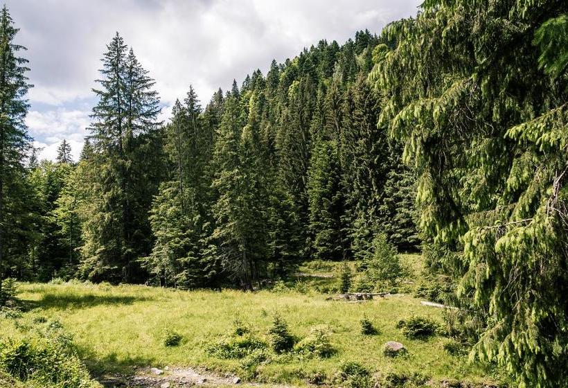 فندق Pid Khomiakom