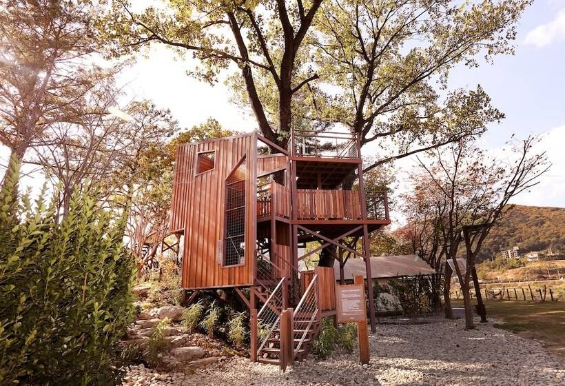 Midas Hotel & Resort