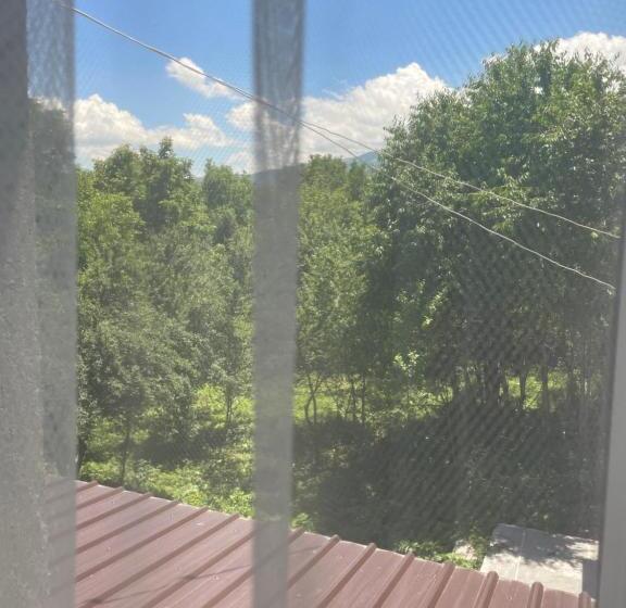 پانسیون Dream Home