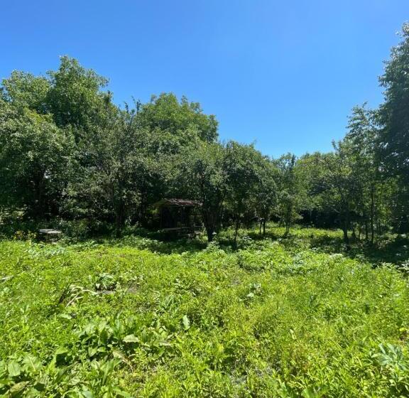 پانسیون Dream Home