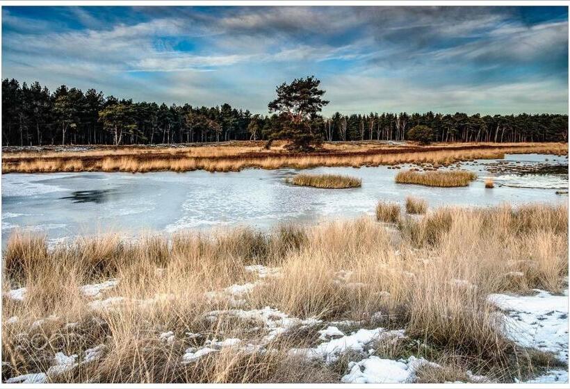 הוסטל Boutique Hotel Bed&bos