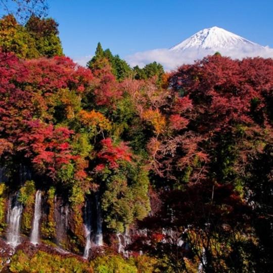 فندق صغير Cabin House Yado Fujinomiya