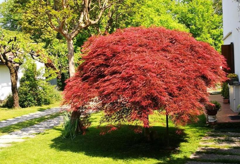 مبيت وإفطار Alle Grazie