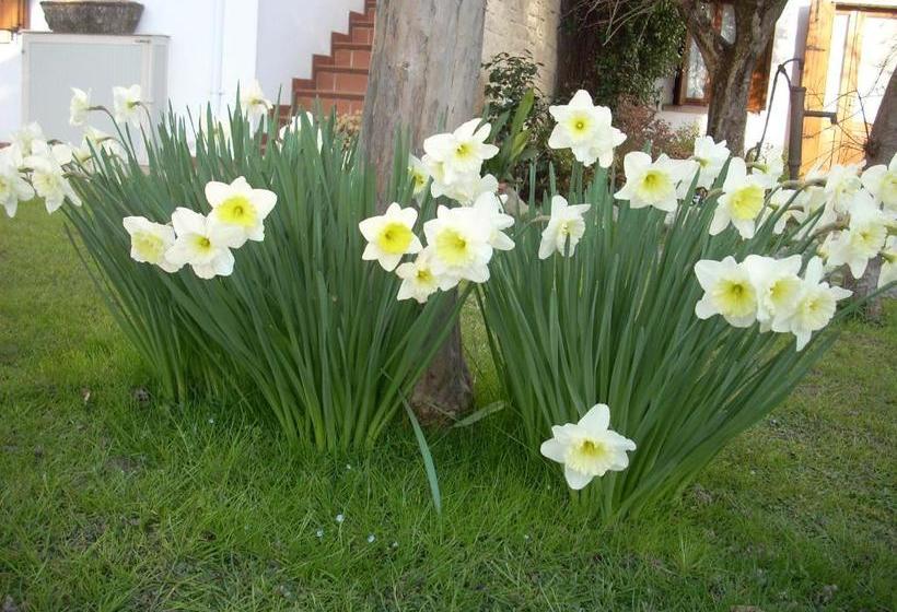 مبيت وإفطار Alle Grazie