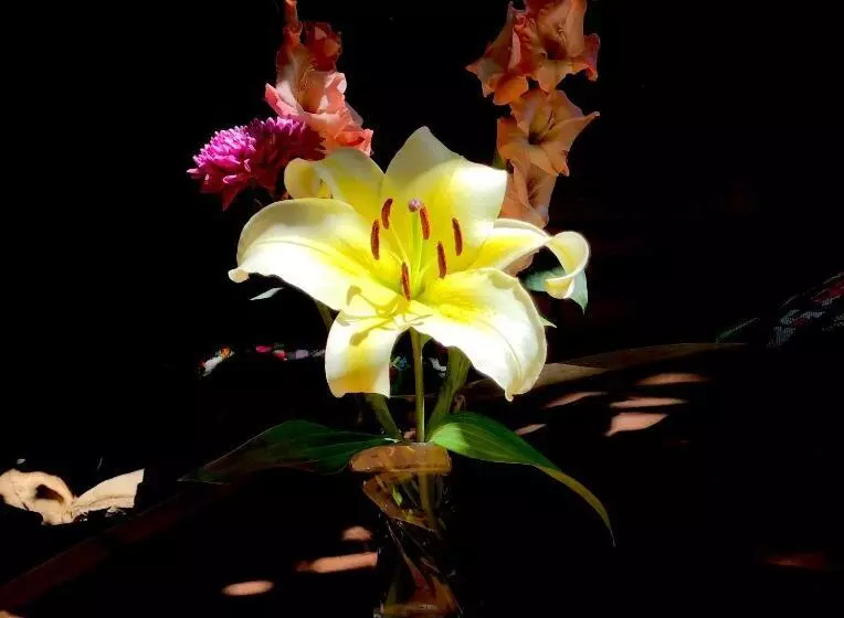 ホテル Ananda Guest House Yoga & Meditación