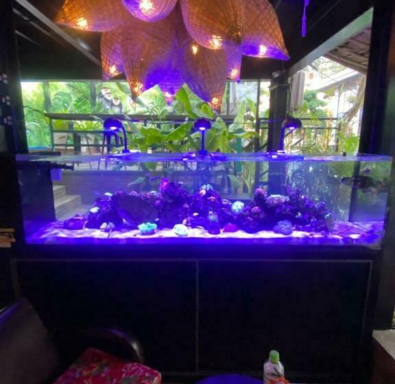 Rom Casa Hostel Da Nang