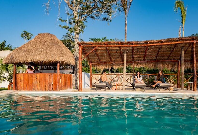 Отель Xakluum Eco Glampings