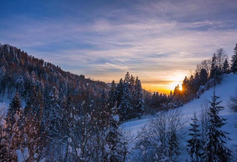 Отель Bad Rain Mit Oberstaufen Plusgolf