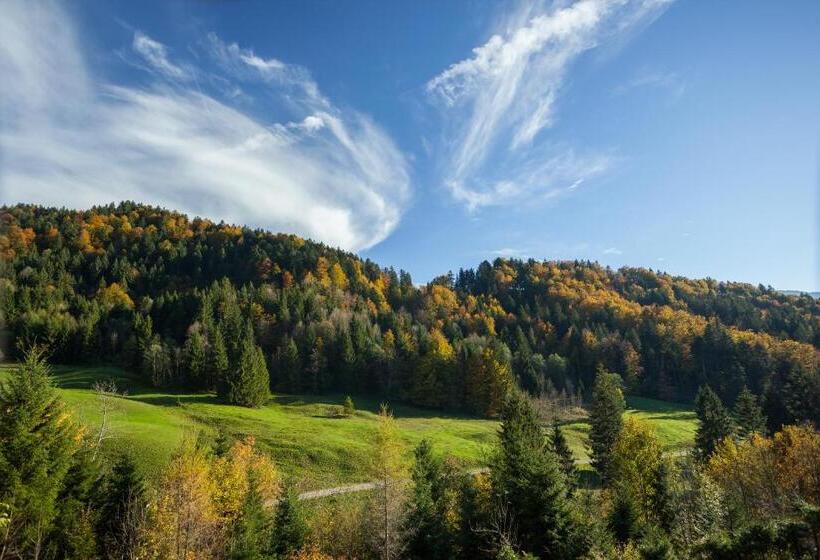 Отель Bad Rain Mit Oberstaufen Plusgolf
