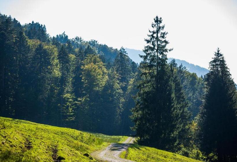 Отель Bad Rain Mit Oberstaufen Plusgolf
