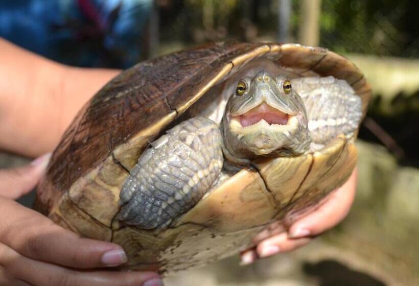 El Cabarete Spa Resort All Inclusive