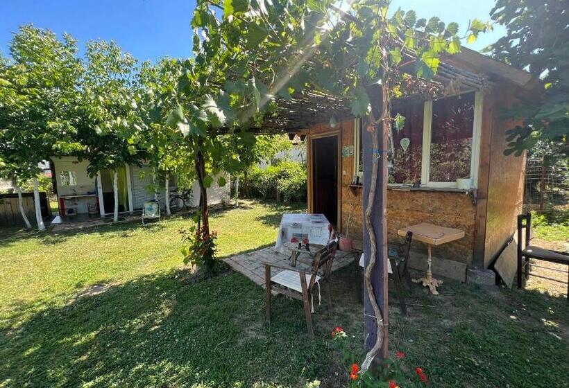 Elbasan Backpacker Hostel