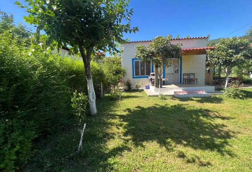 Elbasan Backpacker Hostel