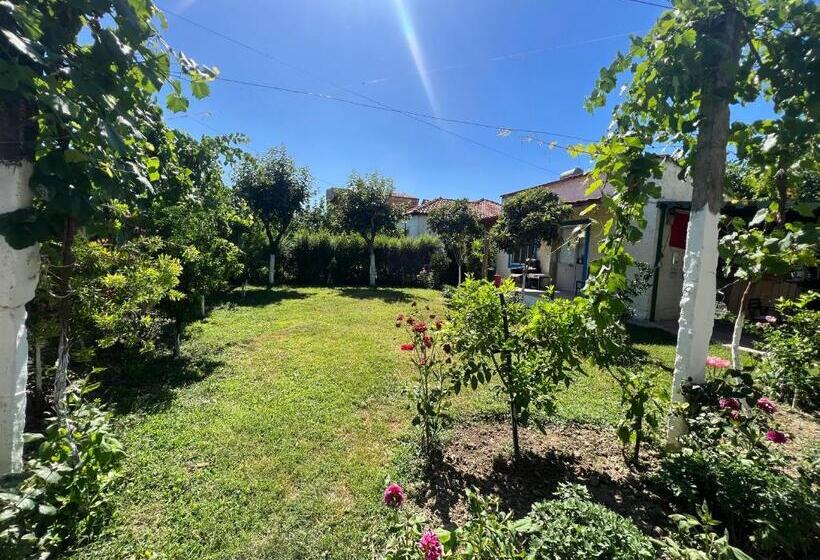 Elbasan Backpacker Hostel