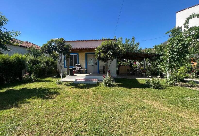 Elbasan Backpacker Hostel