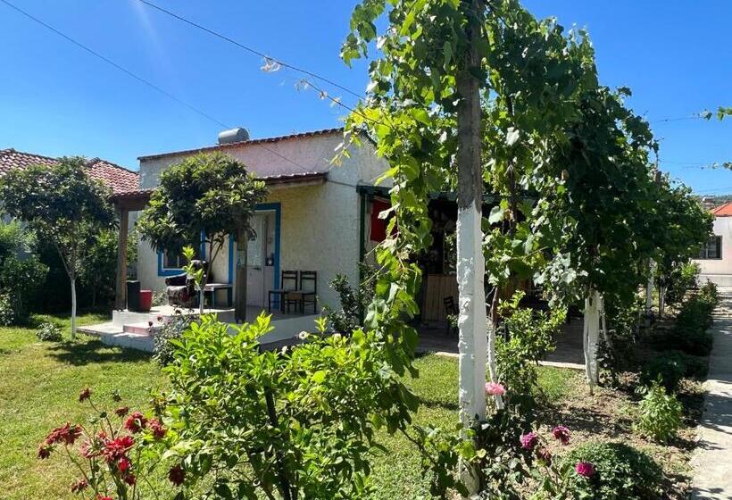 Elbasan Backpacker Hostel