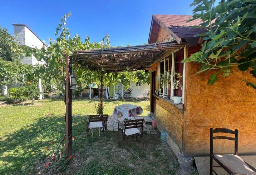 Elbasan Backpacker Hostel