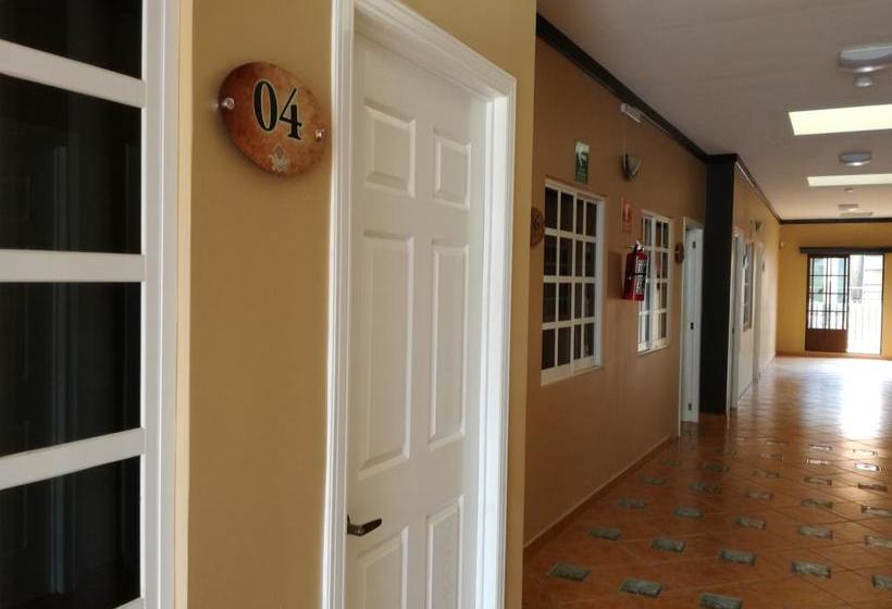 هتل Y Plaza Jalpan