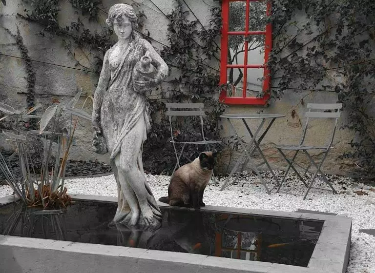 Maison De Maître à Bram # Jacuzzi