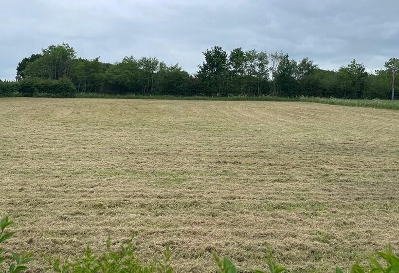 Rural Cottage Full Kitchen Pets Ok Paddock