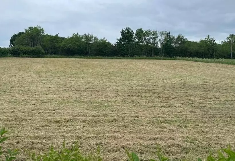 Rural Cottage Full Kitchen Pets Ok Paddock