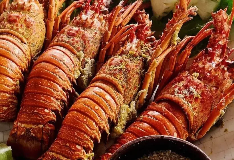 Hostelli Pousada E Restaurante Lual Do Parajuru