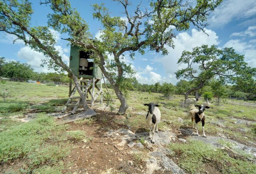 Pet Friendly Blanco Home W/ Private Deck!