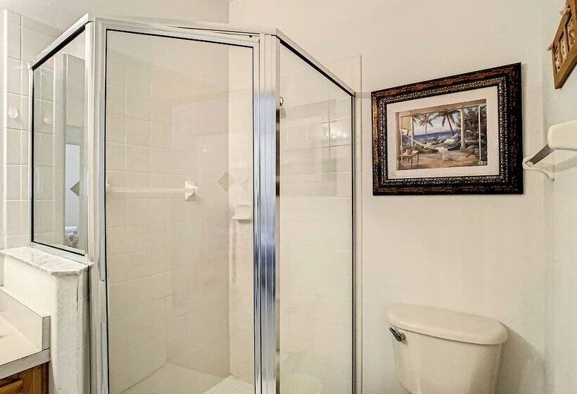 Silver Creek Sensation